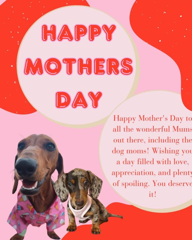 Happy Mother’s Day 🩷 Wishing our mums a fabulous day, today is your day for some pampering and love!
#mothersday #motherhood #furbabies