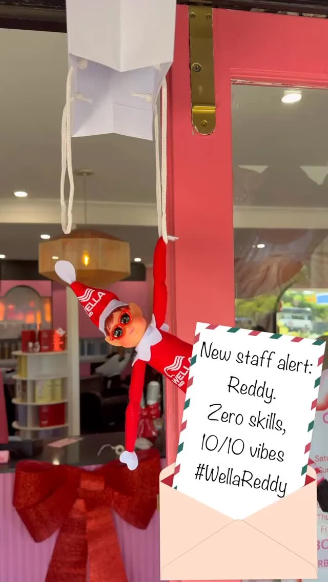 Meet reddy our new  Instagram influencer 📸
@wellapro_anz #wellareddy

Here for all the Christmas vibes 🎄